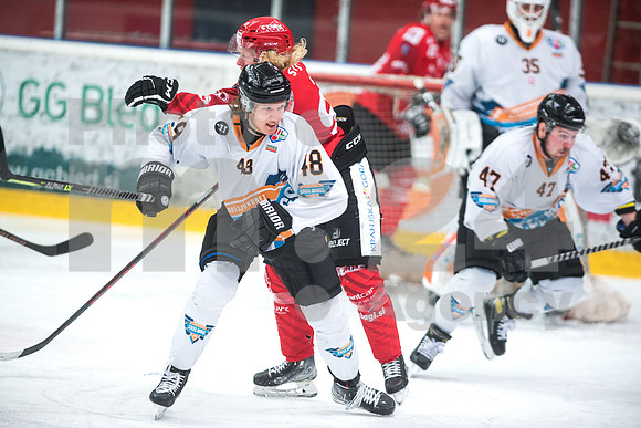 Alps Hockey League ( HDD Jesenice - BlackWings Linz )