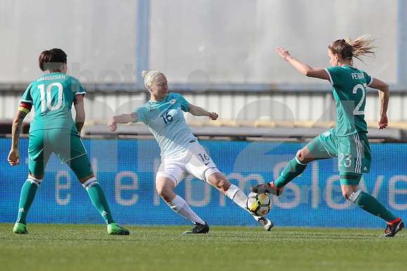 Slovenia-Germany
