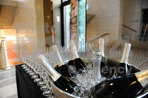 Awards (Viktor Awards 2013)