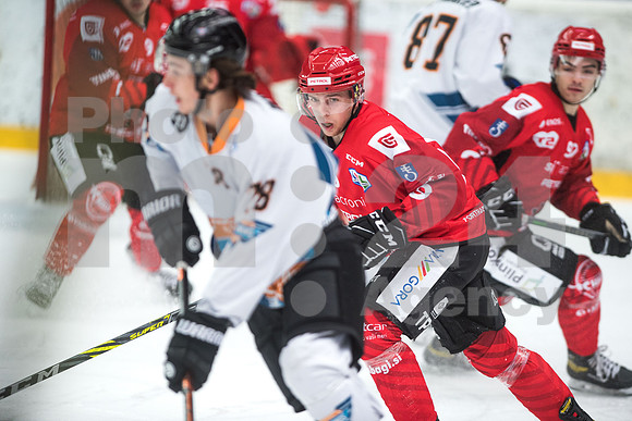 Alps Hockey League ( HDD Jesenice - Steel Wings Linz )