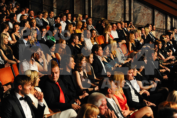 Awards (Viktor Awards 2013)