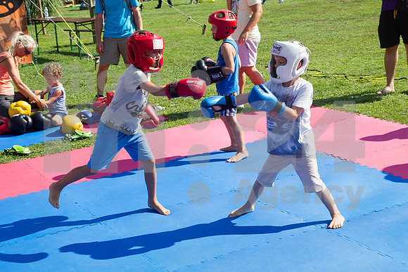 Festival (Carobni dan v Alboretumu)