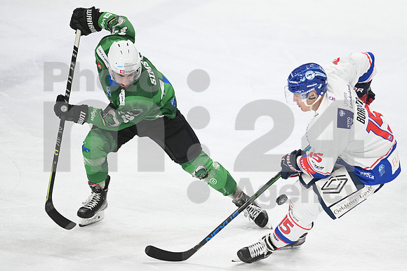 ICE Hockey League (HK SZ Olimpija - Innsbruck)