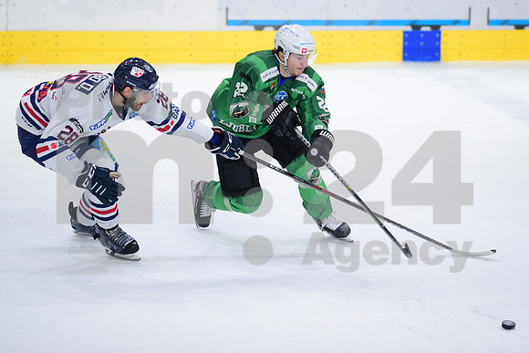 ICE Hockey League (HK SZ Olimpija - Fehervar)