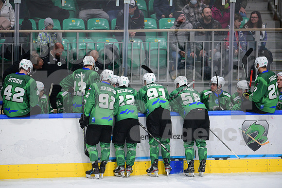 ICE Hockey League (HK SZ Olimpija - Fehervar)