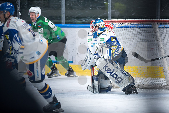 ICE Hockey League (HK SZ Olimpija - Villach)