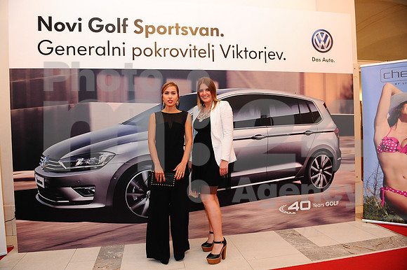 Awards (Viktor Awards 2013)