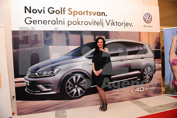 Awards (Viktor Awards 2013)