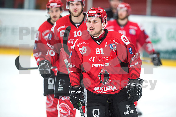Alps Hockey League ( HDD Jesenice - Steel Wings Linz )