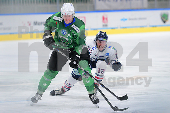 ICE Hockey League (HK SZ Olimpija - Fehervar)