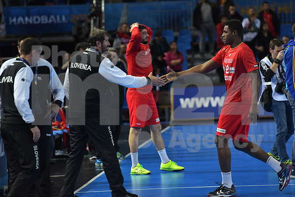 Group B (Slovenia - Tunisia)