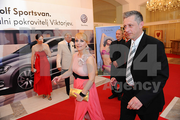 Awards (Viktor Awards 2013)