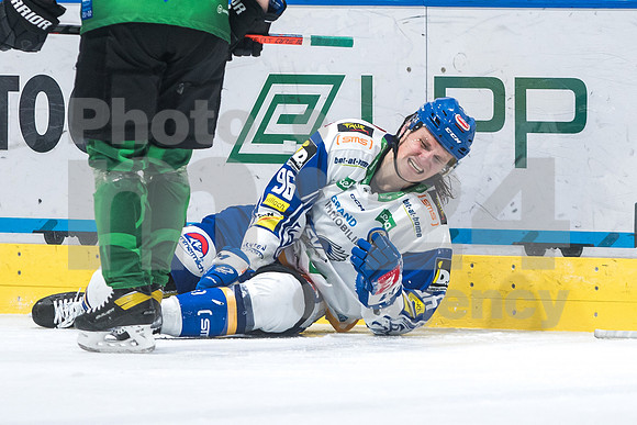 ICE Hockey League (HK SZ Olimpija - Villach)