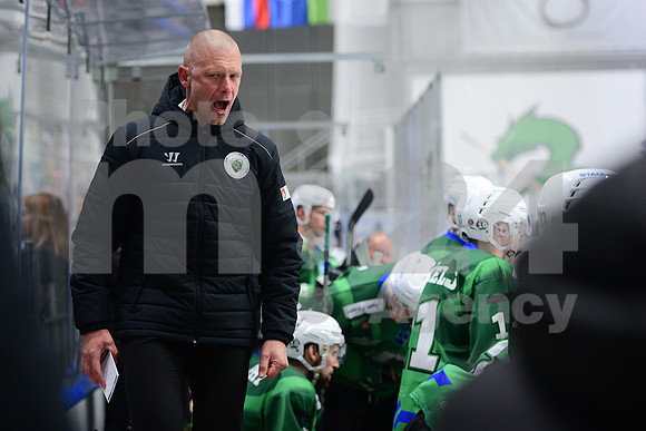 ICE Hockey League (HK SZ Olimpija - Fehervar)