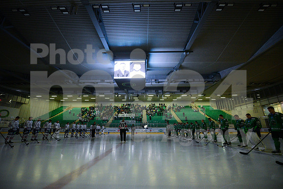 ICE Hockey League (HK SZ Olimpija - Fehervar)