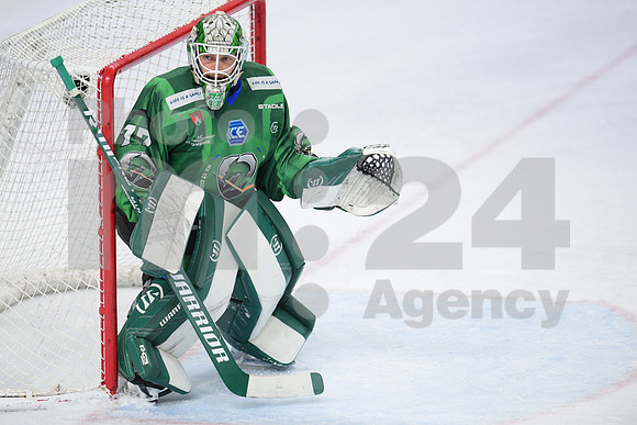 ICE Hockey League (HK SZ Olimpija - Fehervar)
