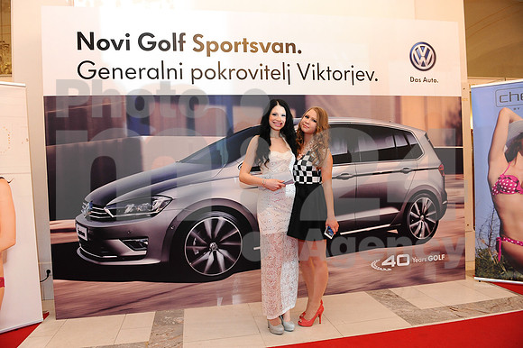 Awards (Viktor Awards 2013)