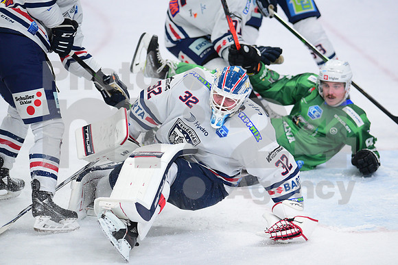 ICE Hockey League (HK SZ Olimpija - Fehervar)