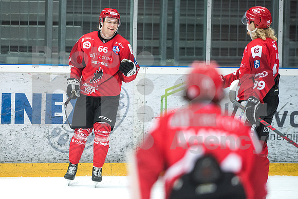 Alps Hockey League ( HDD Jesenice - Steel Wings Linz )