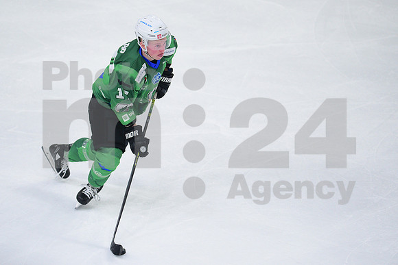 ICE Hockey League (HK SZ Olimpija - Fehervar)