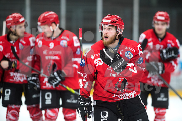 Alps Hockey League ( HDD Jesenice - Steel Wings Linz )