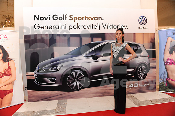 Awards (Viktor Awards 2013)