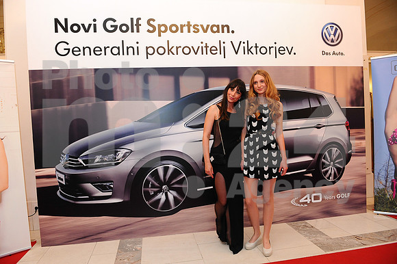 Awards (Viktor Awards 2013)
