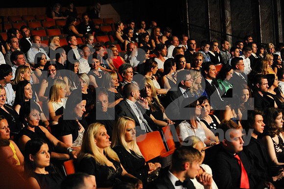 Awards (Viktor Awards 2013)