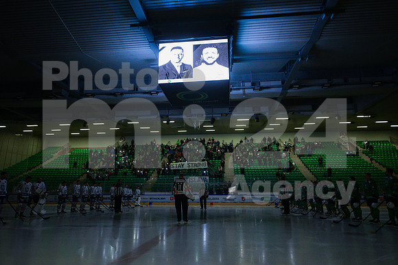 ICE Hockey League (HK SZ Olimpija - Fehervar)