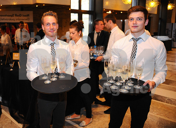 Awards (Viktor Awards 2013)