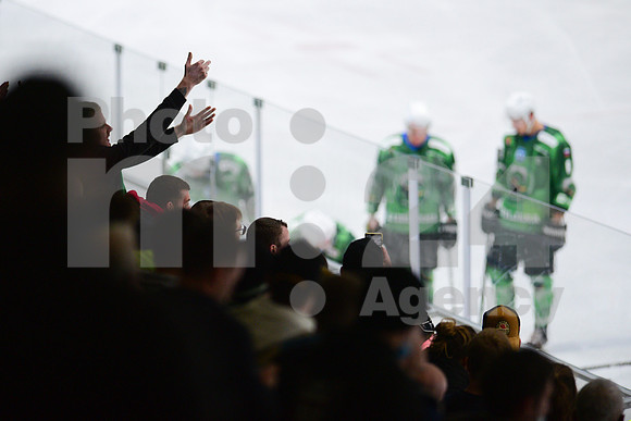 ICE Hockey League (HK SZ Olimpija - Fehervar)