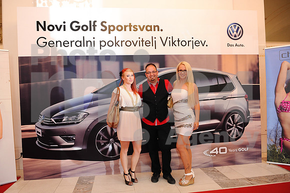 Awards (Viktor Awards 2013)