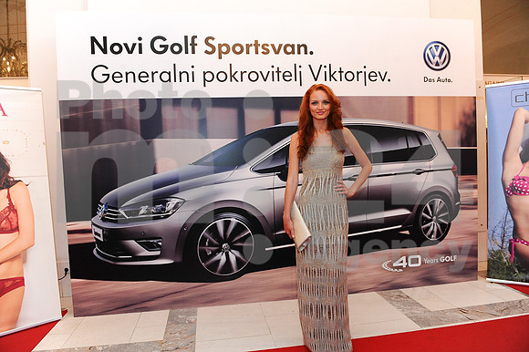 Awards (Viktor Awards 2013)