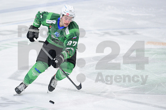 ICE Hockey League (HK SZ Olimpija - Fehervar)