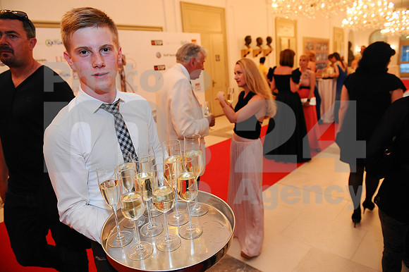 Awards (Viktor Awards 2013)
