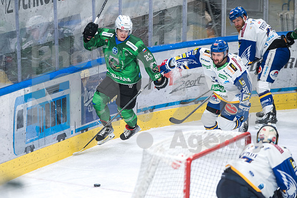 ICE Hockey League (HK SZ Olimpija - Villach)
