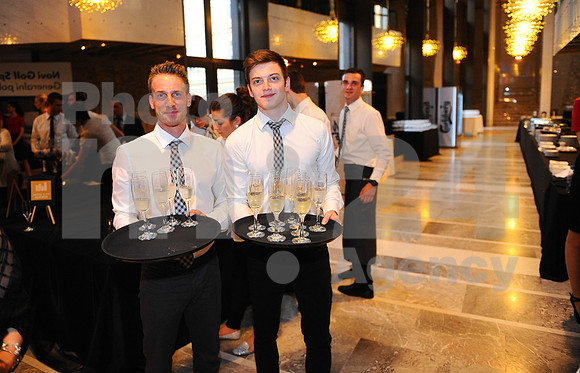 Awards (Viktor Awards 2013)