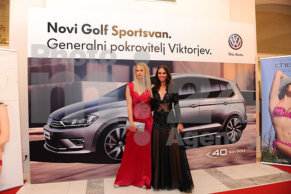 Awards (Viktor Awards 2013)