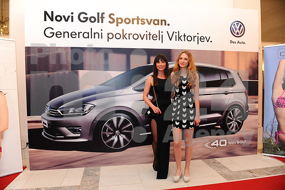Awards (Viktor Awards 2013)