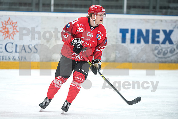 Alps Hockey League ( HDD Jesenice - BlackWings Linz )