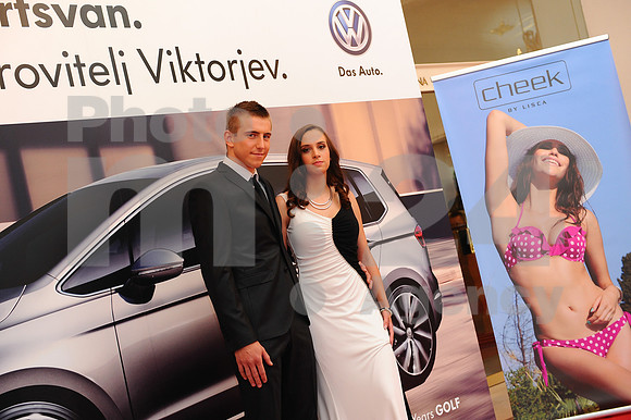 Awards (Viktor Awards 2013)