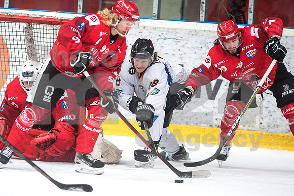 Alps Hockey League ( HDD Jesenice - Steel Wings Linz )