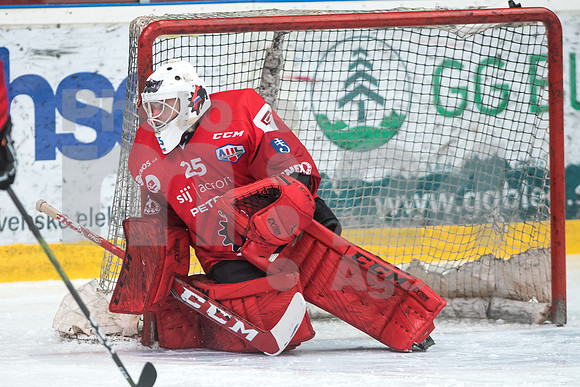 Alps Hockey League ( HDD Jesenice - BlackWings Linz )