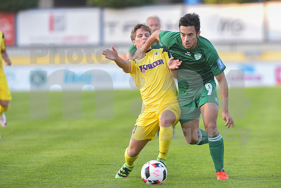 Domzale, First division, 07. round of Prva liga Telekom Slovenije (NK Radomlje - NK Krsko)