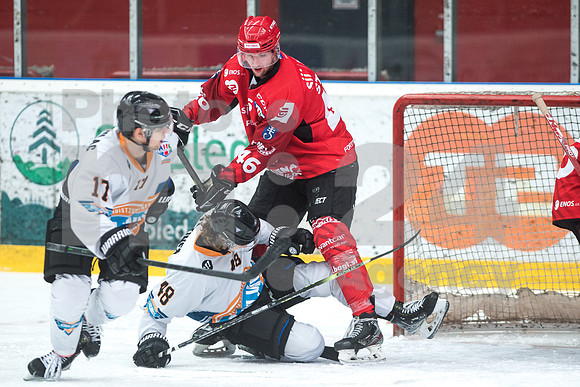Alps Hockey League ( HDD Jesenice - Steel Wings Linz )