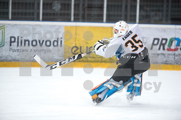 Alps Hockey League ( HDD Jesenice - BlackWings Linz )