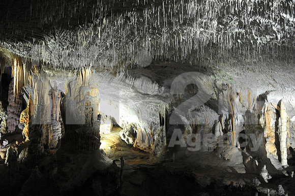 Postojna, Slovenske zeleznice event (Trip from Ljubljana to Postojnska jama - Postojna cave with train)