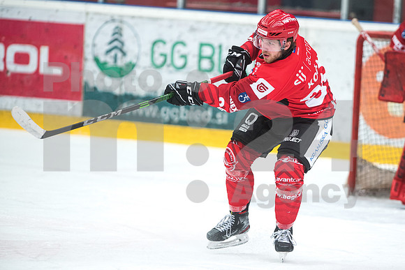 Alps Hockey League ( HDD Jesenice - Steel Wings Linz )