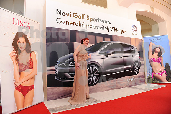 Awards (Viktor Awards 2013)