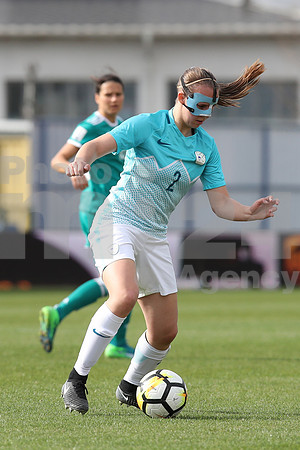 Slovenia-Germany